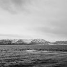 Svalbard