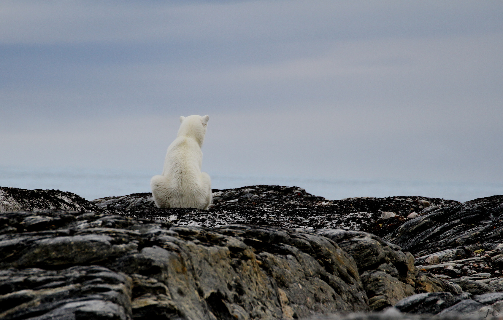 " SVALBARD "