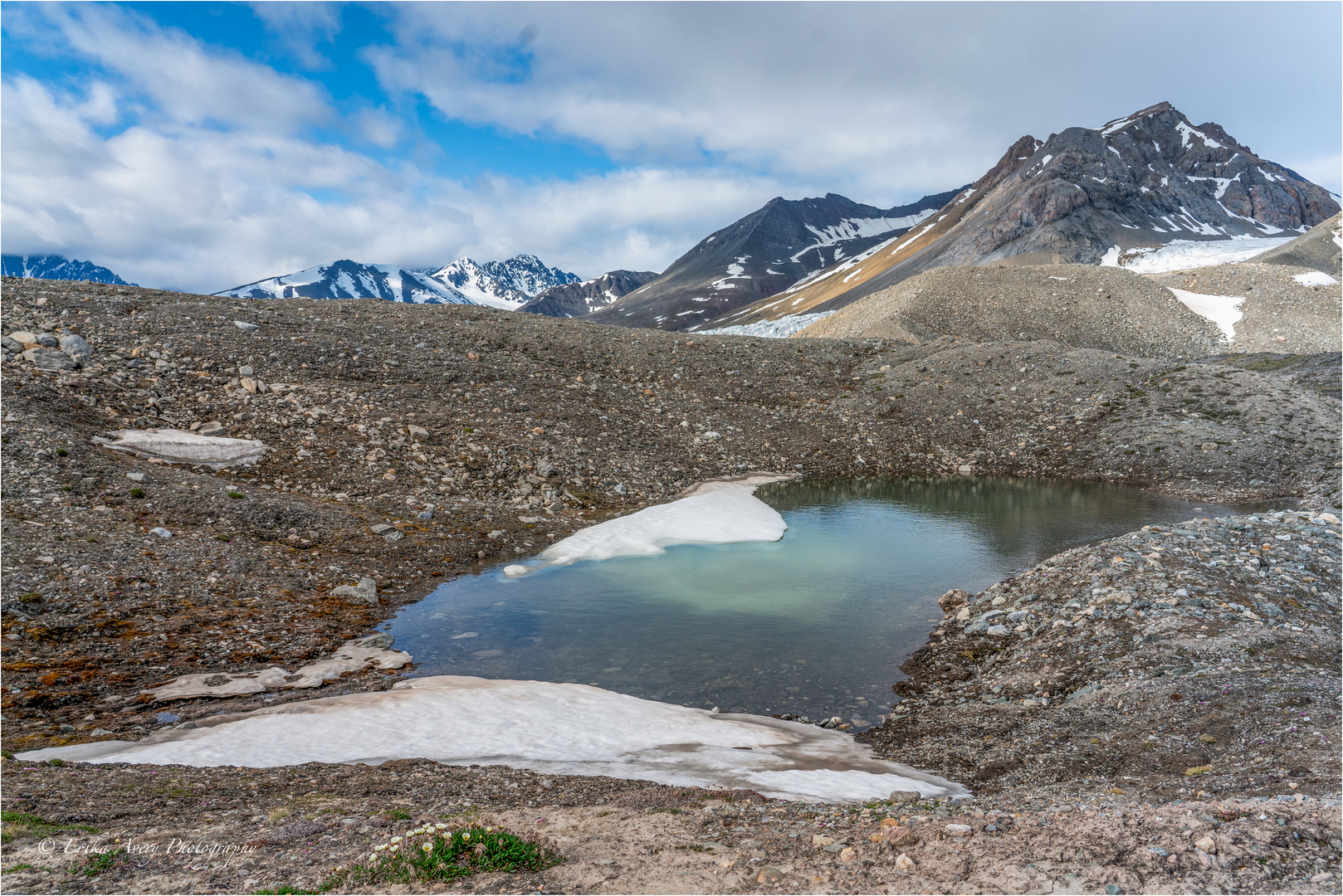 Svalbard - N79° 36.2'   E12° 43.4'  -  4C