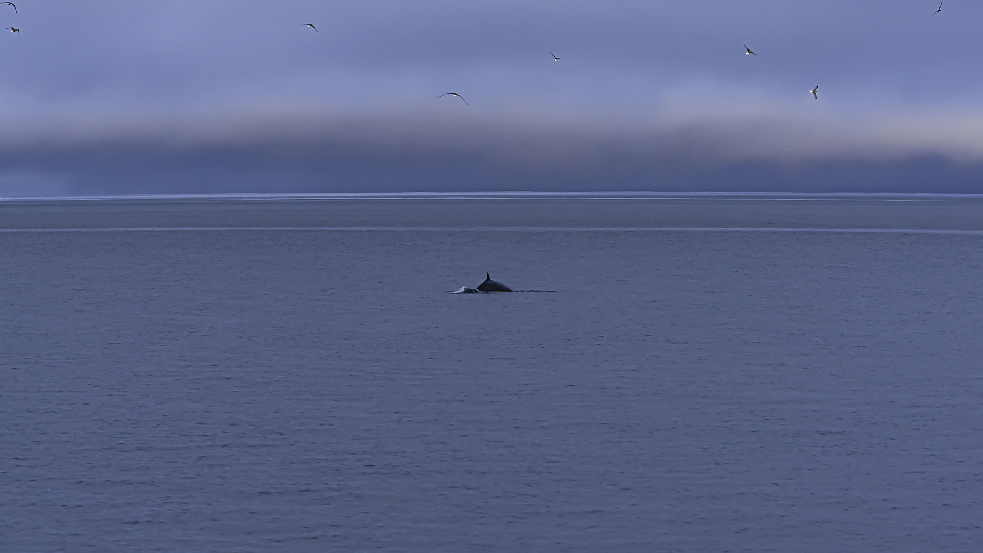 Svalbard, Norwegen