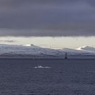 Svalbard, Norwegen        