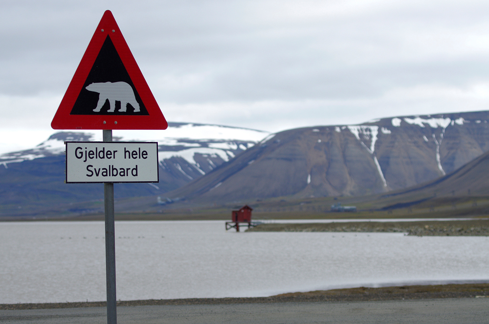 SVALBARD, Spitzbergen 006