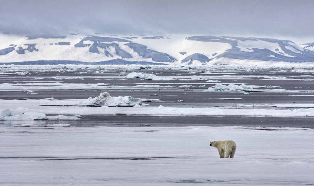 Svalbard (Spitzbergen)