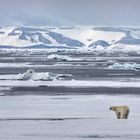 Svalbard (Spitzbergen)