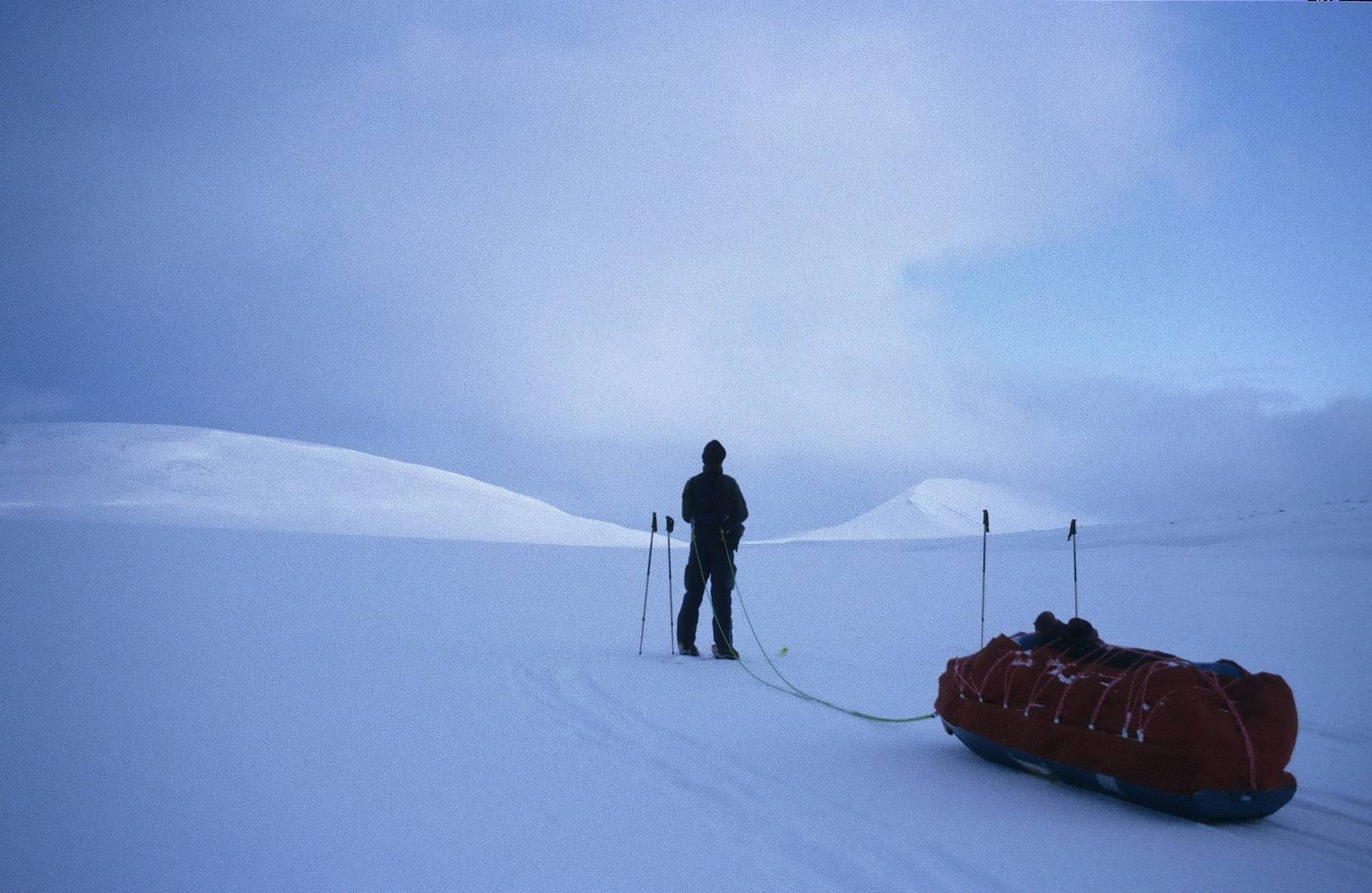 Svalbard - Wildnis