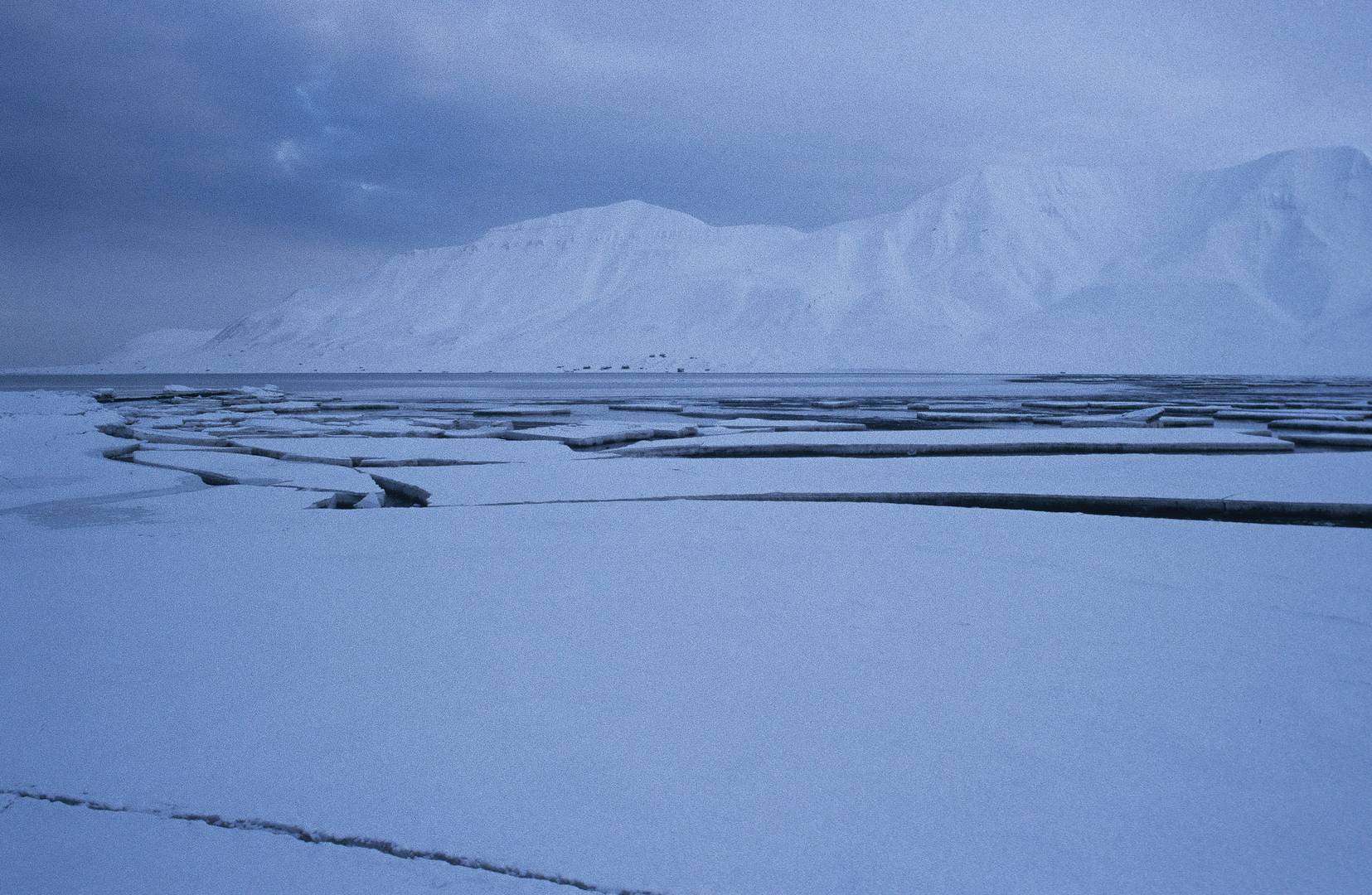 Svalbard - Winterstarre