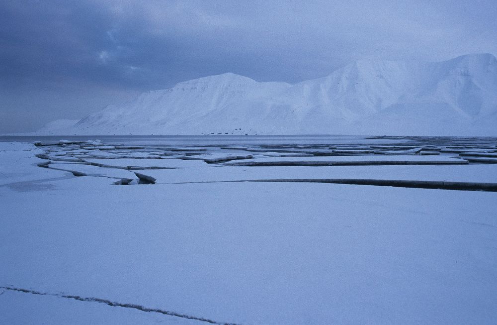 Svalbard - Winterstarre