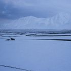 Svalbard - Winterstarre