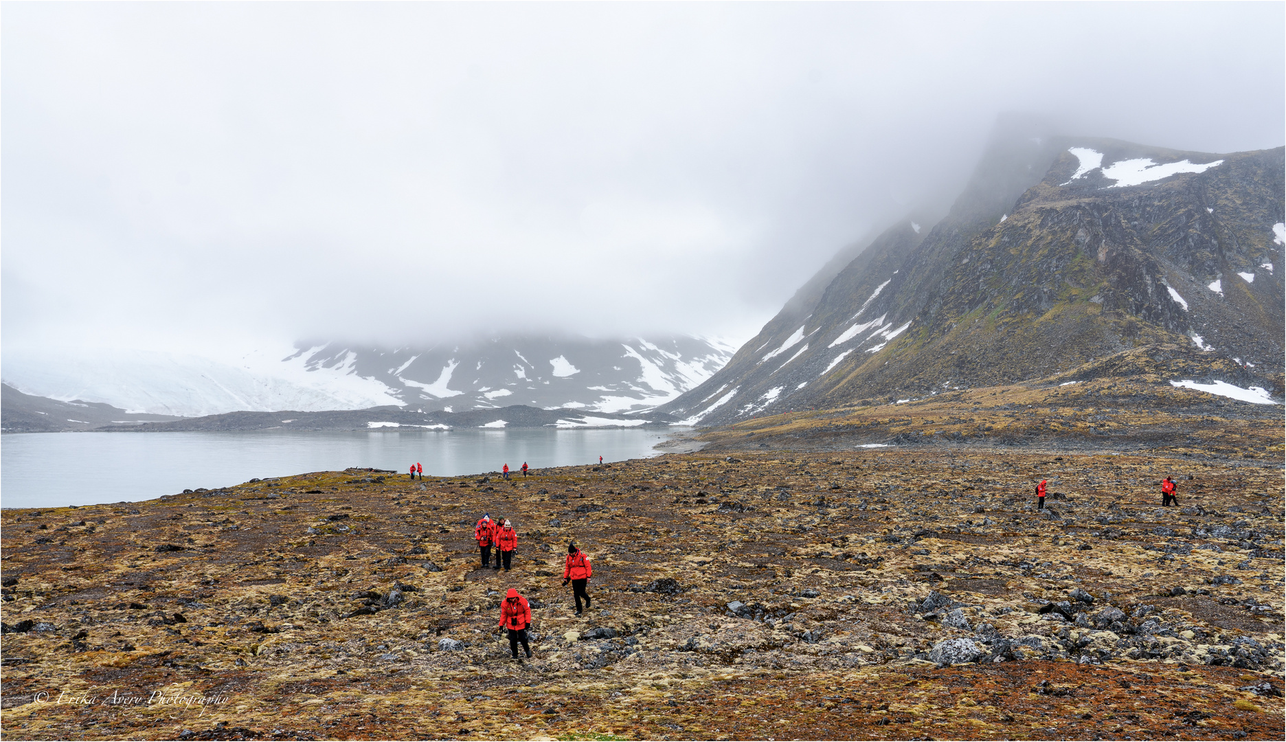 Svalbard's Tundra