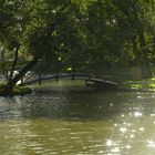 Svanelunden ,ein kleiner Park in Hjørring. ( 1 )