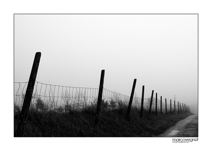 Svanire nella nebbia