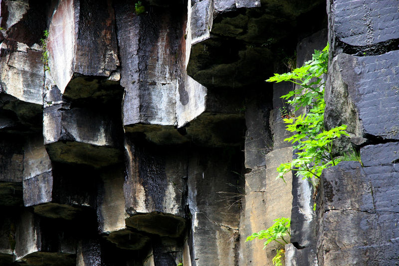 Svartifoss