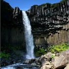 Svartifoss