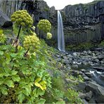 Svartifoss