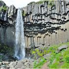 Svartifoss I