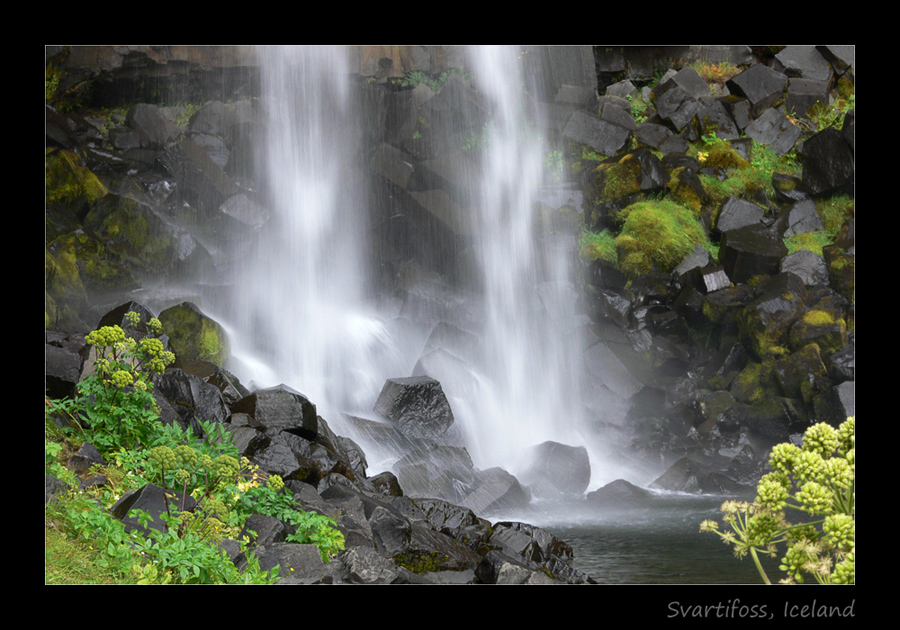 Svartifoss im Skaftafell Nationalpark