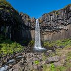 Svartifoss (Island)