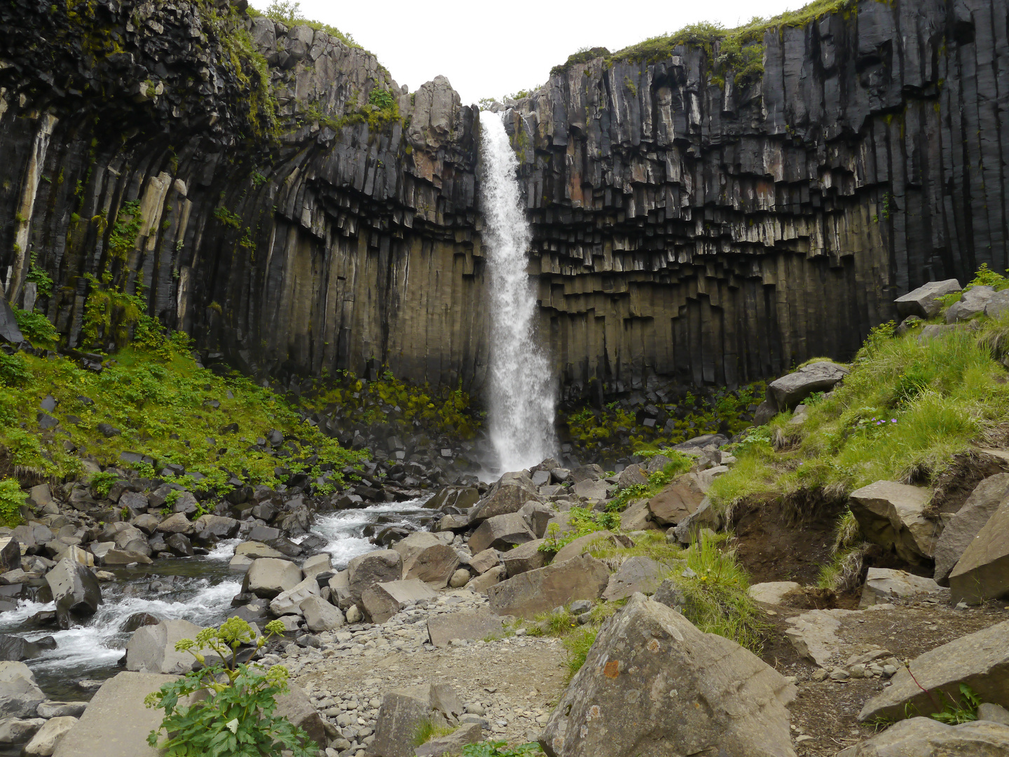 Svartifoss -Island