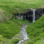 Svartifoss total