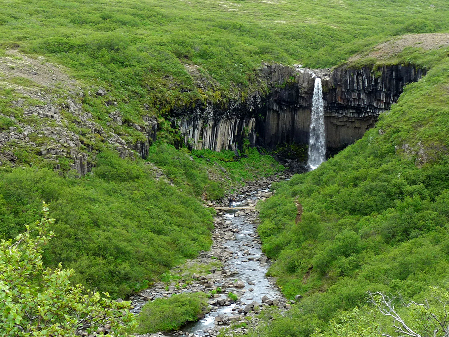 Svartifoss total