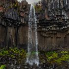 Svartifoss Wasserfall in Island