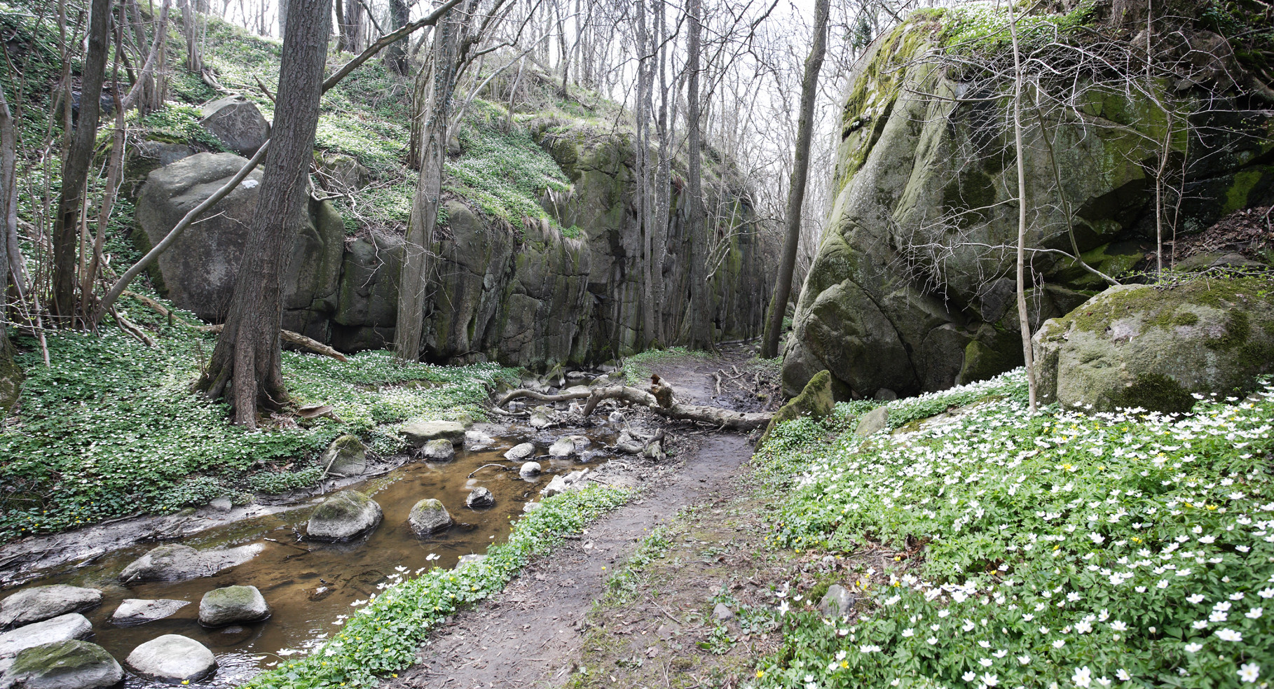 Svartingedalen, Bornholm - Denmark