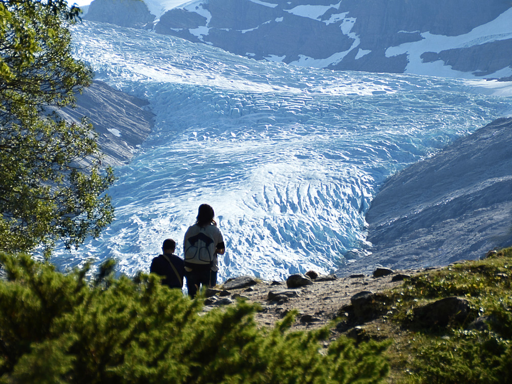 SVARTISEN GLETSCHER