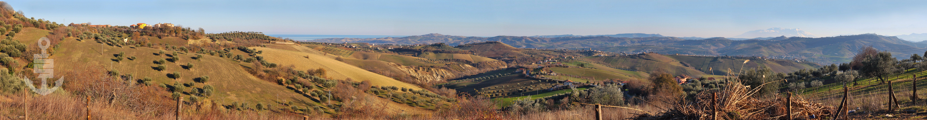 Svegliarsi e vedere questo...