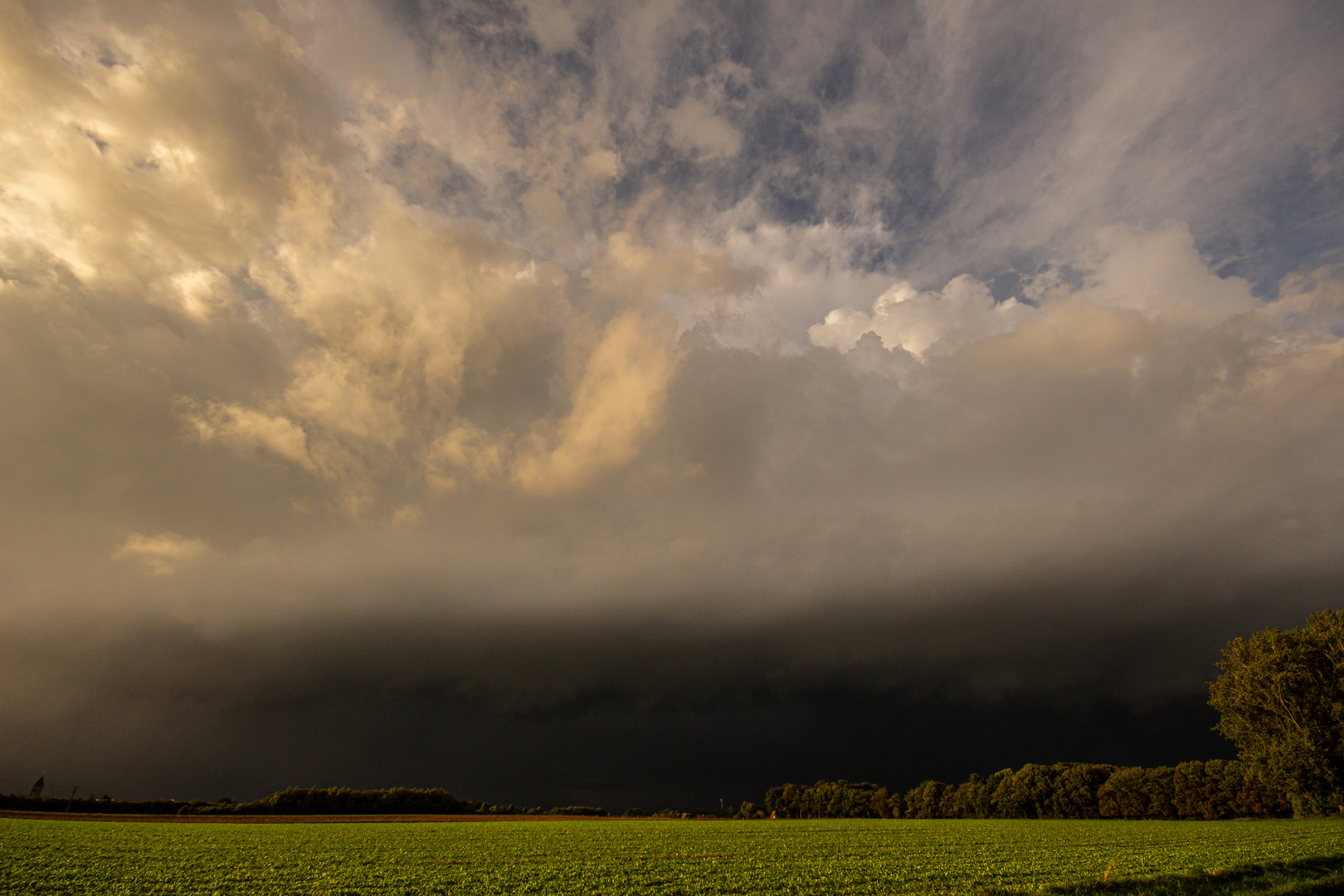 Svere Thunderstorm