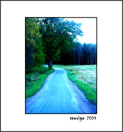 sverige 2004