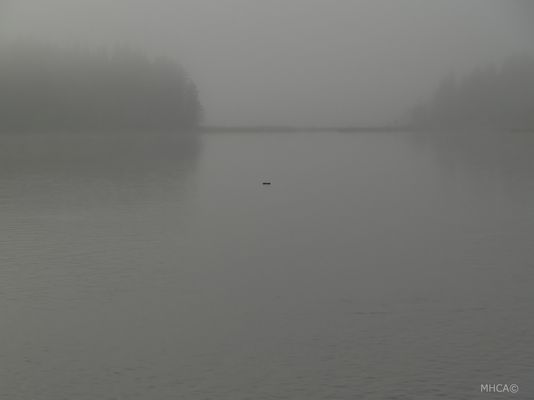 Sverige * Lamborn * Hösten 4