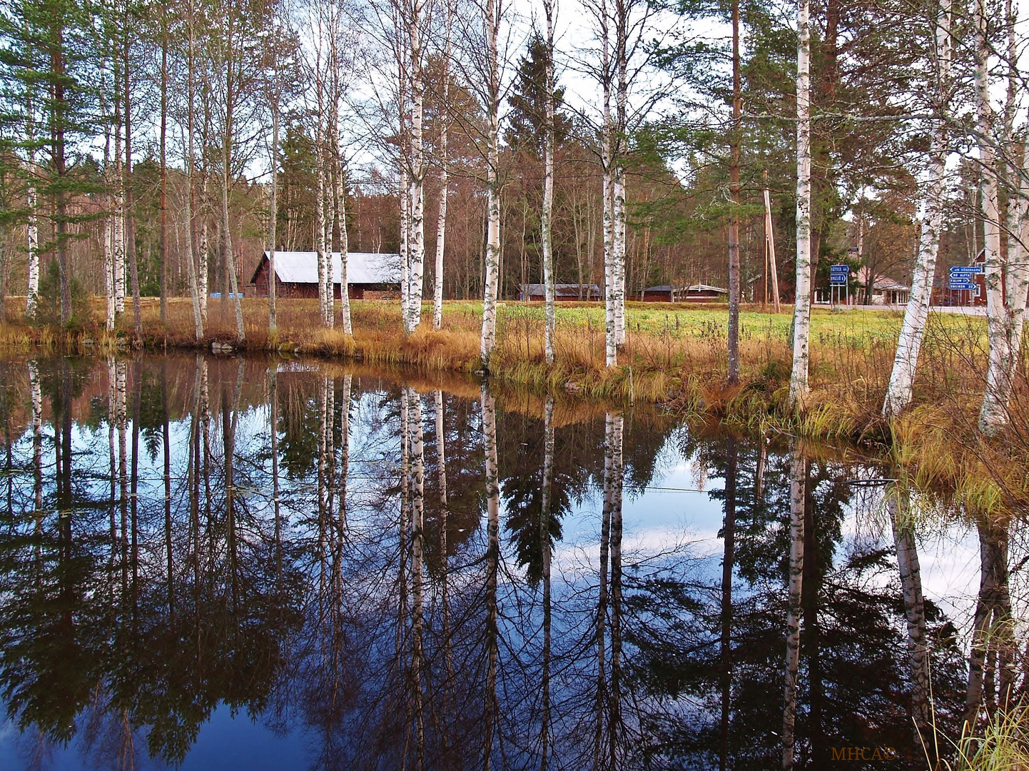 Sverige *  Lamborn *  Hösten 8