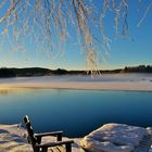 Sverige * Lamborn Kalven * Vintern