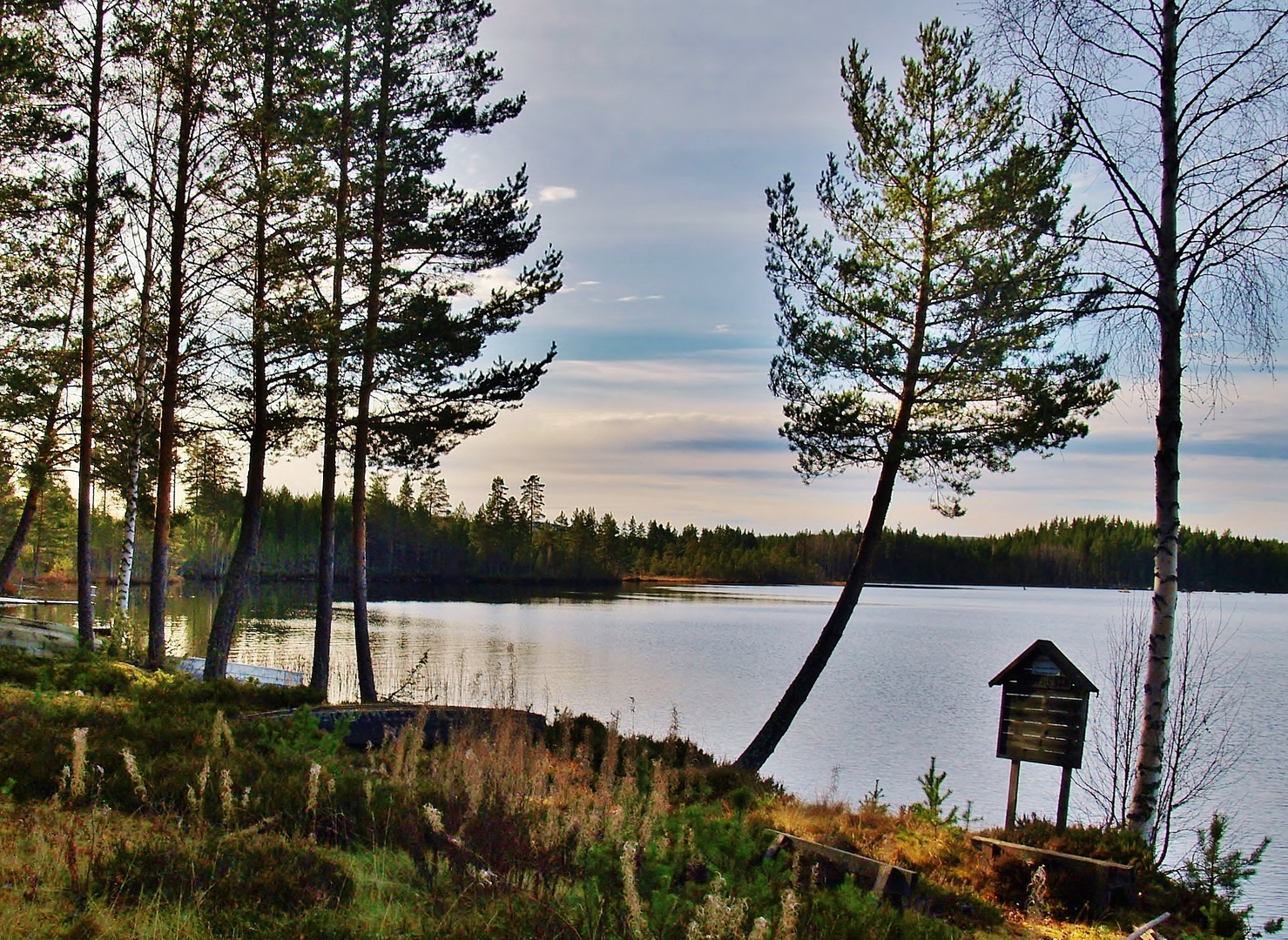 Sverige  * Lamborn Stora Draggen *  Hösten 9