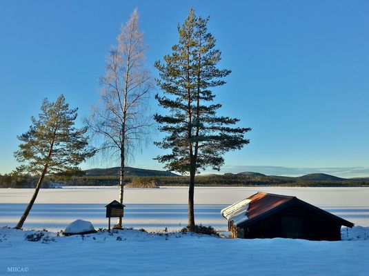 Sverige *Lamborn Stora Draggen *  Vintern 8