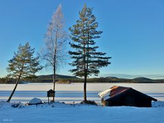 Sverige *Lamborn Stora Draggen *  Vintern 8