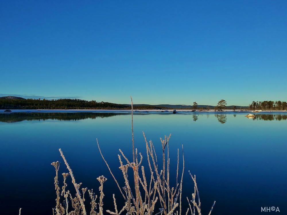 Sverige * Lamborn Stora Draggen * Vintern Blå 3