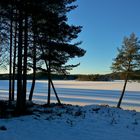 Sverige * Lamborn Stora Draggen * Vintern Blå 4 