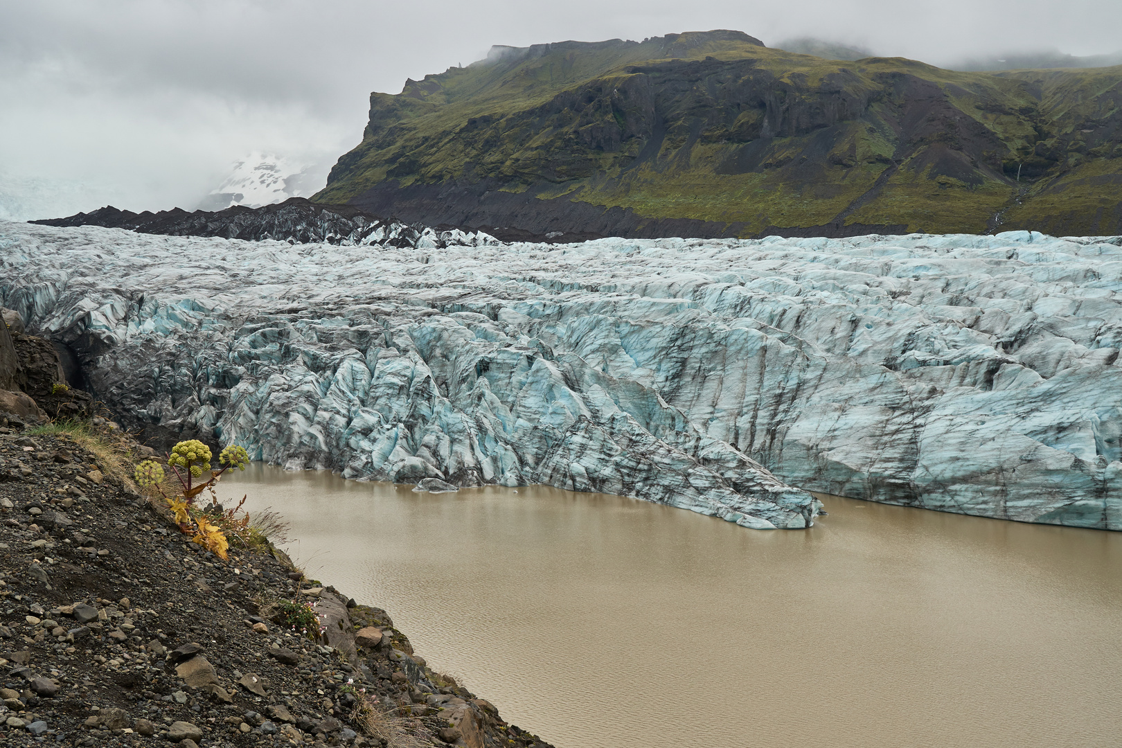 Svinafellsjökull