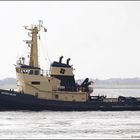 SVITZER HELIOS