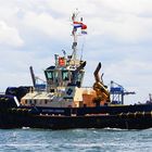 SVITZER LONDON / Tug / Rotterdam