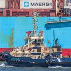 SVITZER MALLAIG