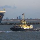 SVITZER MARKEN