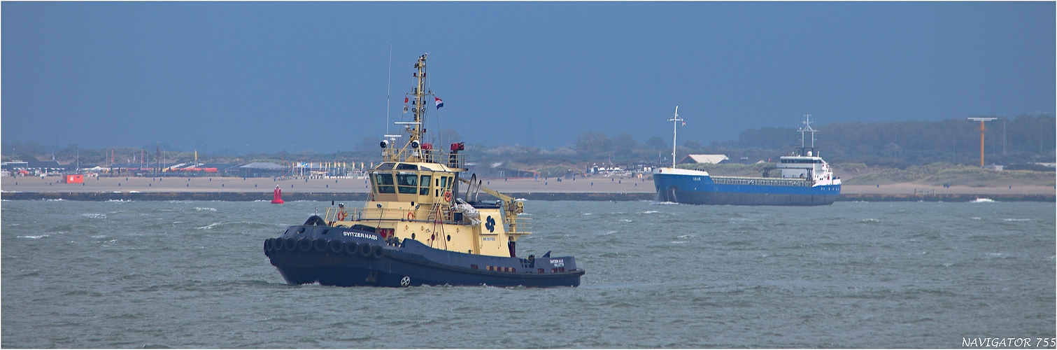 SVITZER NABI / Schlepper / Rotterdam