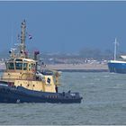 SVITZER NABI / Schlepper / Rotterdam