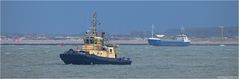 SVITZER NABI / Schlepper / Rotterdam