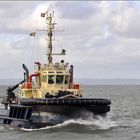 "SVITZER THOR"