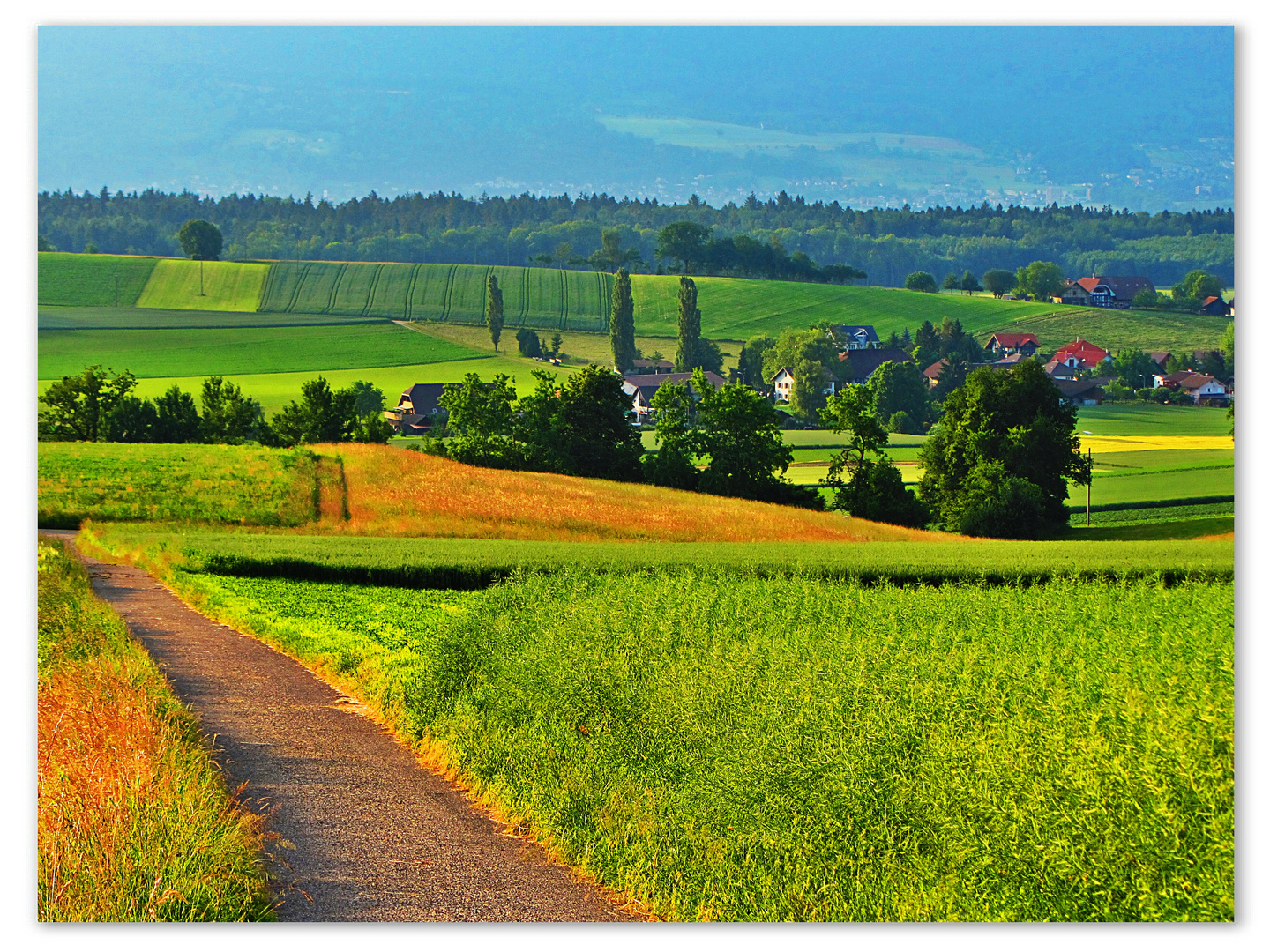 SVIZZERA