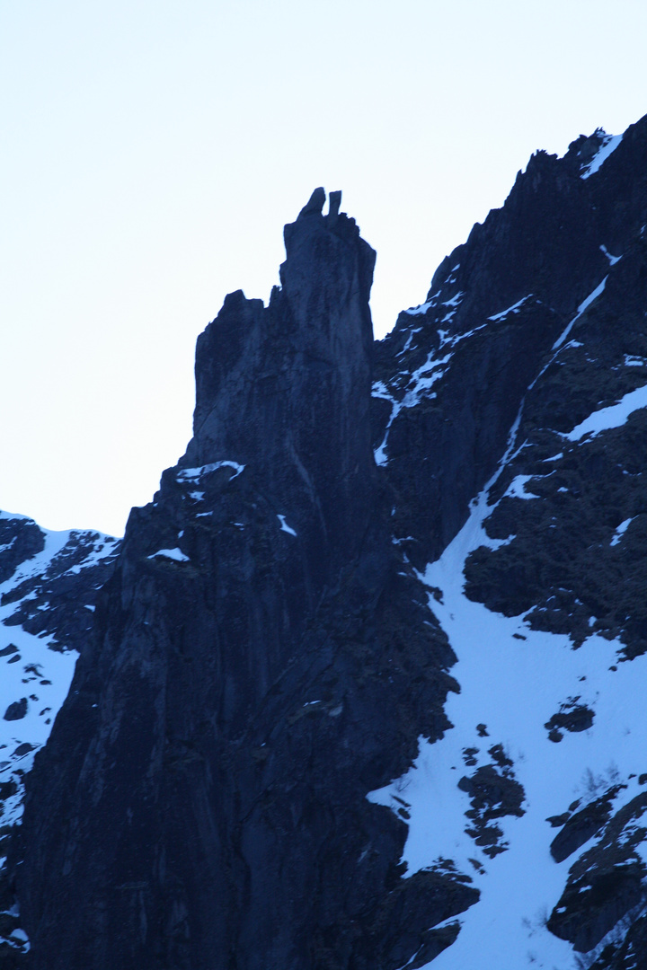 Svolvær Goat