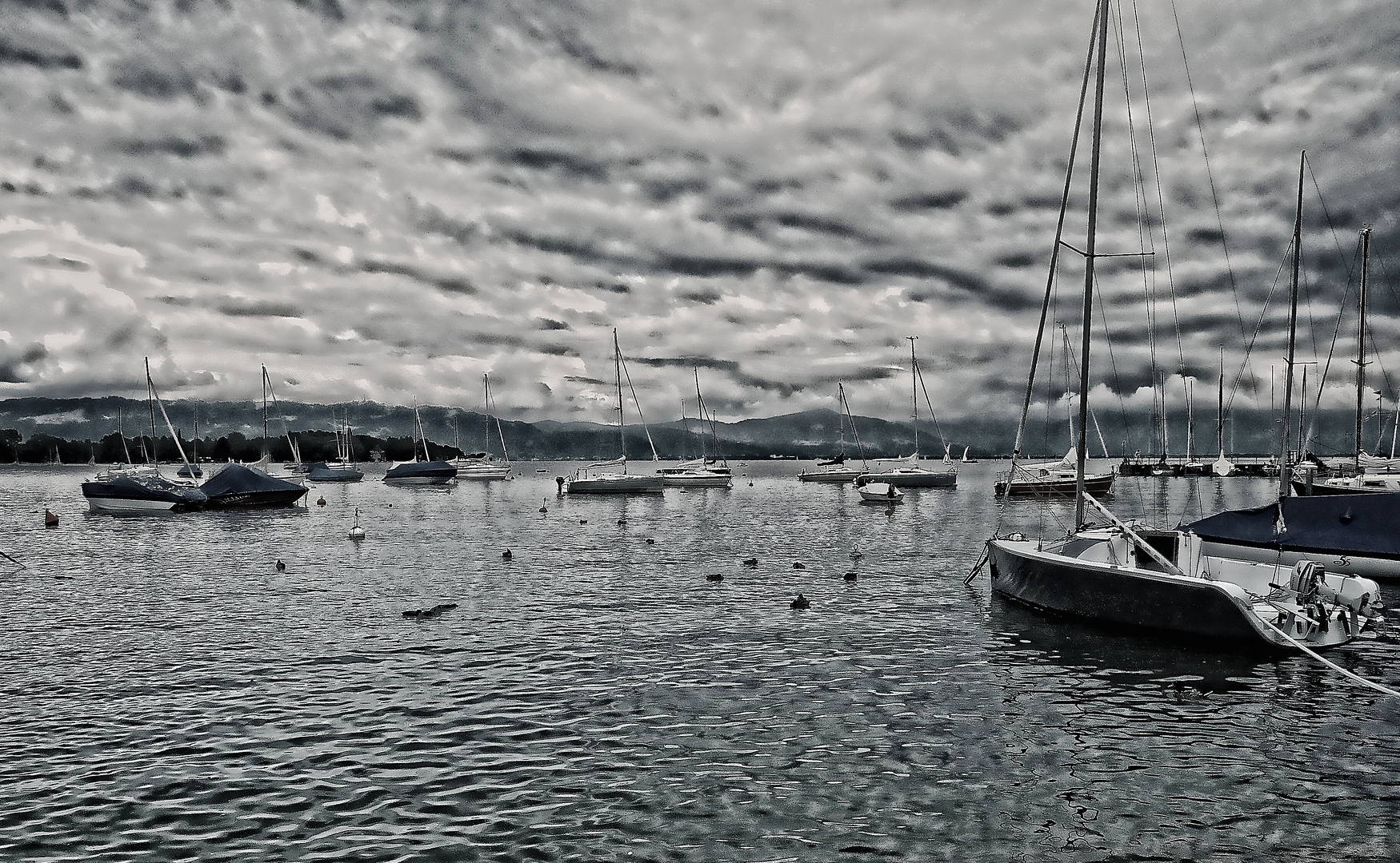 s/w Bodensee Hafen...vor dem Gewitter